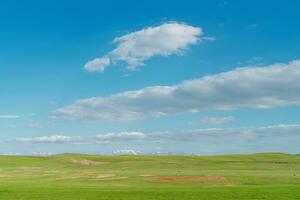 Vast grasslands and snow-capped mountains. Photo in Bayinbuluke Grassland in Xinjiang, China.