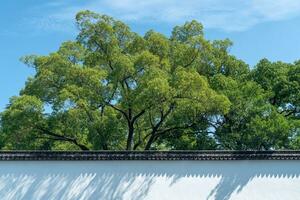 Ancient traditional garden, Suzhou garden, in China. photo