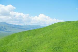 Nalati grassland with the blue sky. photo