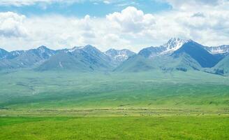 Nalati grassland with the blue sky. photo