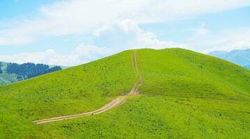 Nalati grassland with the blue sky. . photo