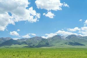 Nalati grassland with the blue sky. photo