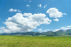 Nalati grassland with the blue sky. photo