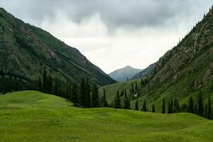 Trees and mountains with white clouds. photo