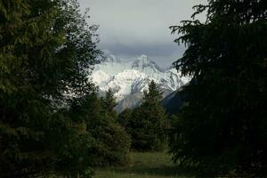 Nevado montañas y arboles en un nublado día. kan Tengri montaña en Xinjiang, porcelana. foto