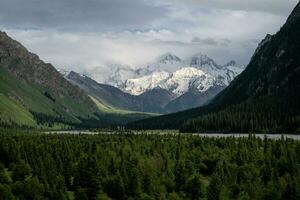 Snowy mountains and trees in a cloudy day. Khan Tengri Mountain In Xinjiang, China. photo