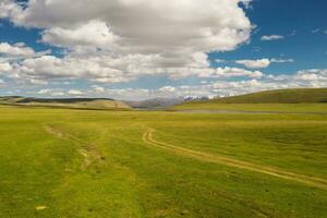 Grassland with blue sky and white clouds. Photo in Bayinbuluke Grassland in Xinjiang, China.