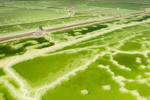 The green saline lake and beach pavilion, natural lake background. photo