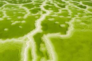 The green saline lake, natural lake background. photo