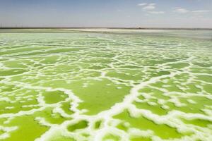 The green saline lake, natural lake background. photo