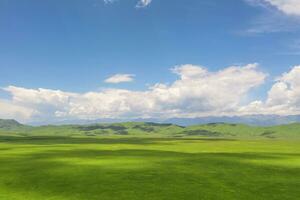 nalatí pradera con el azul cielo. foto