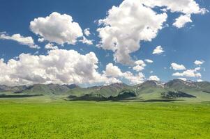 Nalati grassland with the blue sky. photo