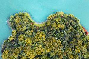 Looking down to the island in the lake. photo