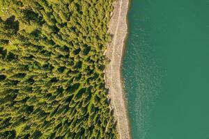 River and trees with cloudless day. photo