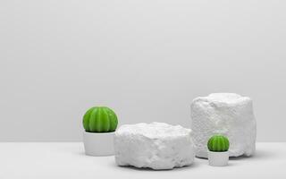 Cactus and stones with white background, 3d rendering. photo