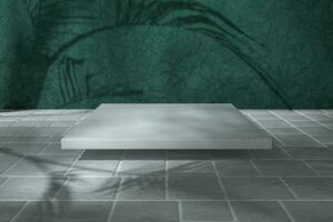 Cube platform with plant shadows on the green wall, 3d rendering. photo