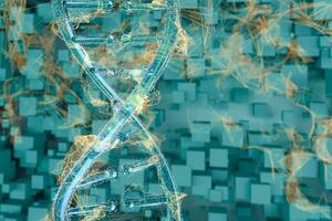 DNA and chromosomes,genes and inheritance,3d rendering. photo