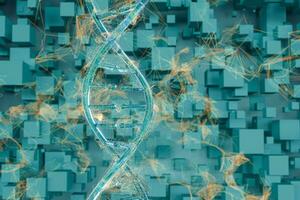 DNA and chromosomes,genes and inheritance,3d rendering. photo