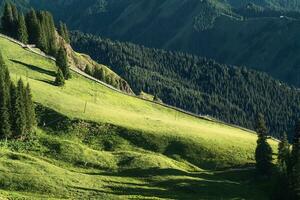 The vast grassland in the mountains. photo
