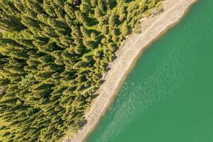 River and trees with cloudless day. photo