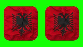 albania flagga i väpnare form isolerat med enkel och stöta textur, 3d tolkning, grön skärm, alfa matt video