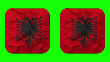 Albania bandera en escudero forma aislado con llanura y bache textura, 3d representación, verde pantalla, alfa mate video