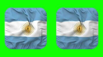 argentina flagga i väpnare form isolerat med enkel och stöta textur, 3d tolkning, grön skärm, alfa matt video