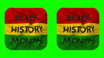 negro historia mes bandera en escudero forma aislado con llanura y bache textura, 3d representación, verde pantalla, alfa mate video