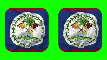 belize flagga i väpnare form isolerat med enkel och stöta textur, 3d tolkning, grön skärm, alfa matt video