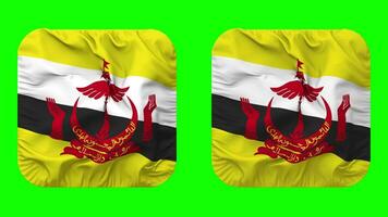 Brunei Flag in Squire Shape Isolated with Plain and Bump Texture, 3D Rendering, Green Screen, Alpha Matte video