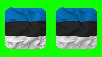 estland flagga i väpnare form isolerat med enkel och stöta textur, 3d tolkning, grön skärm, alfa matt video
