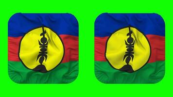 ny Kaledonien flagga i väpnare form isolerat med enkel och stöta textur, 3d tolkning, grön skärm, alfa matt video