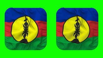 New Caledonia Flag in Squire Shape Isolated with Plain and Bump Texture, 3D Rendering, Green Screen, Alpha Matte video