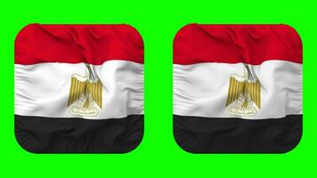 Egypte drapeau dans écuyer forme isolé avec plaine et bosse texture, 3d le rendu, vert filtrer, alpha mat video