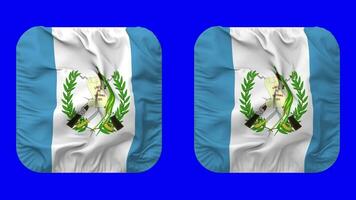 guatemala flagga i väpnare form isolerat med enkel och stöta textur, 3d tolkning, grön skärm, alfa matt video