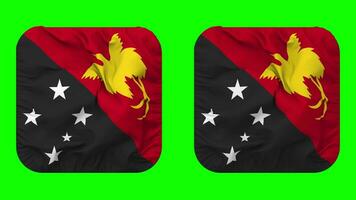 Papuasia nuevo Guinea bandera en escudero forma aislado con llanura y bache textura, 3d representación, verde pantalla, alfa mate video