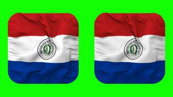 paraguay flagga i väpnare form isolerat med enkel och stöta textur, 3d tolkning, grön skärm, alfa matt video