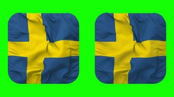 Sverige flagga i väpnare form isolerat med enkel och stöta textur, 3d tolkning, grön skärm, alfa matt video