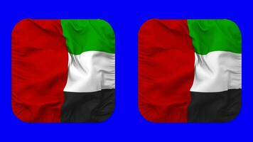 United Arab Emirates Flag in Squire Shape Isolated with Plain and Bump Texture, 3D Rendering, Green Screen, Alpha Matte video