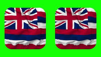 Etat de Hawaii drapeau dans écuyer forme isolé avec plaine et bosse texture, 3d le rendu, vert filtrer, alpha mat video