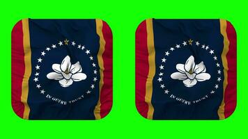 stato di Mississippi bandiera nel scudiero forma isolato con pianura e urto struttura, 3d rendering, verde schermo, alfa Opaco video