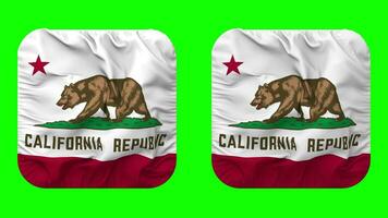 Etat de Californie drapeau dans écuyer forme isolé avec plaine et bosse texture, 3d le rendu, vert filtrer, alpha mat video