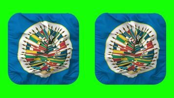 Organization of American States, OAS Flag in Squire Shape Isolated with Plain and Bump Texture, 3D Rendering, Green Screen, Alpha Matte video