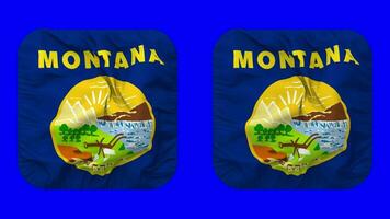 estado de Montana bandera en escudero forma aislado con llanura y bache textura, 3d representación, verde pantalla, alfa mate video