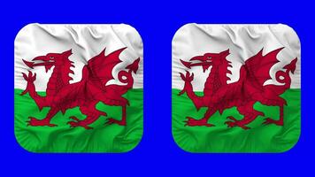 Wales Flagge im Knappe gestalten isoliert mit einfach und stoßen Textur, 3d Wiedergabe, Grün Bildschirm, Alpha matt video