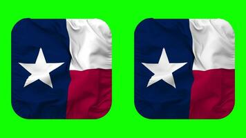 estado de Texas bandera en escudero forma aislado con llanura y bache textura, 3d representación, verde pantalla, alfa mate video