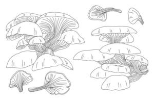 mushrooms outline vector set image