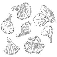 oyster mushroom outline vector image