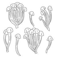 Shimeji mushroom outline vector image