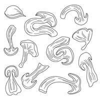 dried mushrooms outline vector image